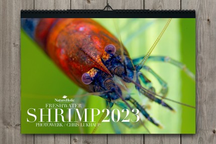 NatureHolic (Aquarium) Kalender Shrimp 2023
